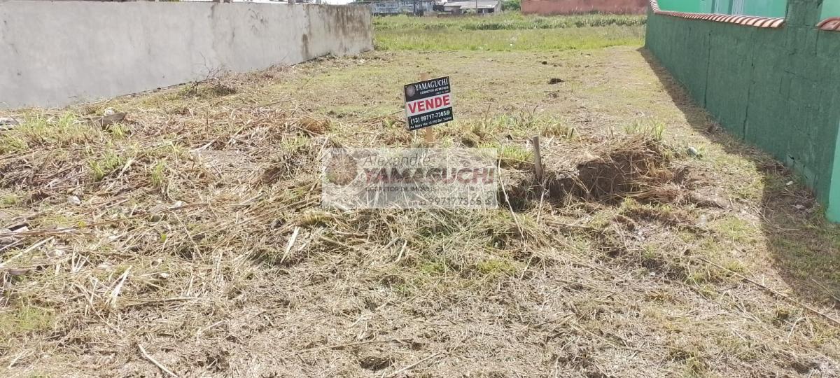 Lote, 276m², à venda - Alexandre Massaaki Yamaguchi